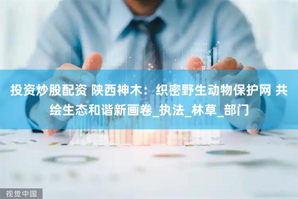 投资炒股配资 陕西神木：织密野生动物保护网 共绘生态和谐新画卷_执法_林草_部门